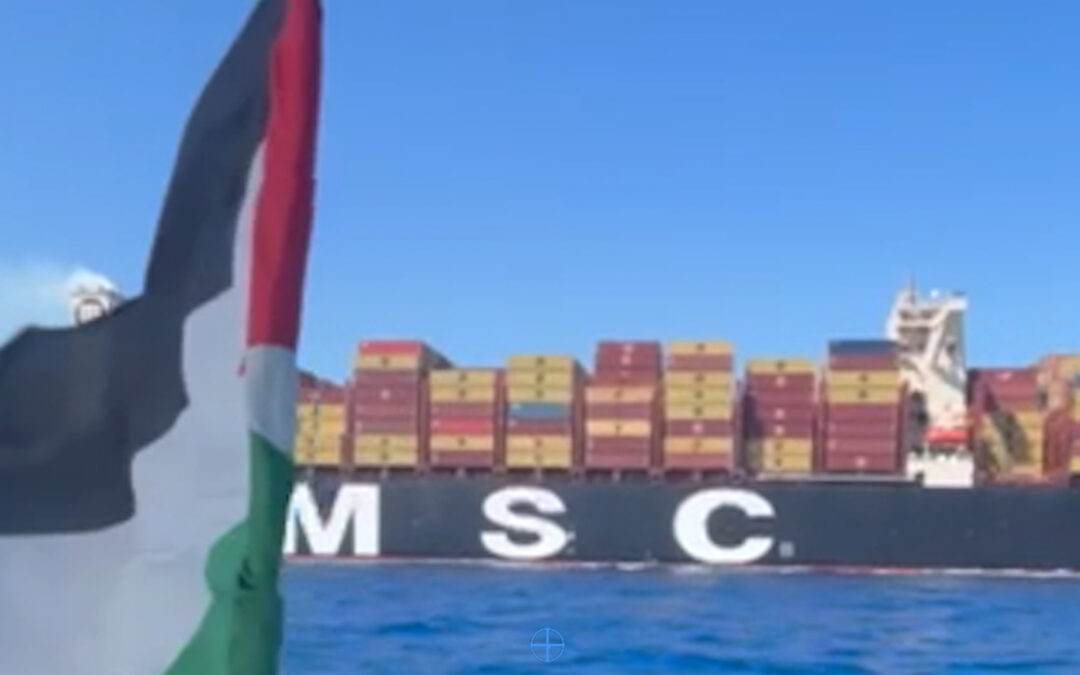 Global Sumud Flotilla disrupts cargo ship bound for Israel