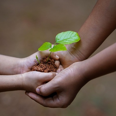 Structured giving’s new moment