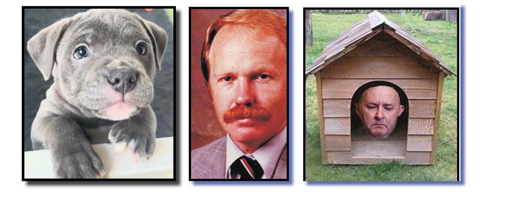 We’re still being sold a pup…