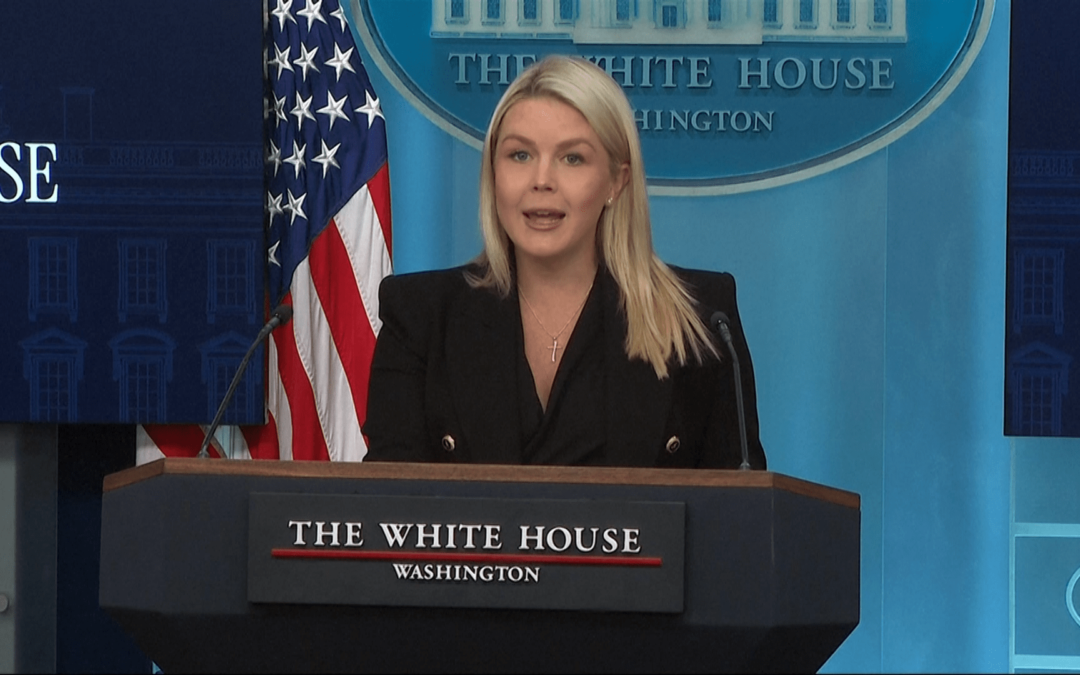 Leavitt blames democrats for ‘cult of hatred’ against Trump