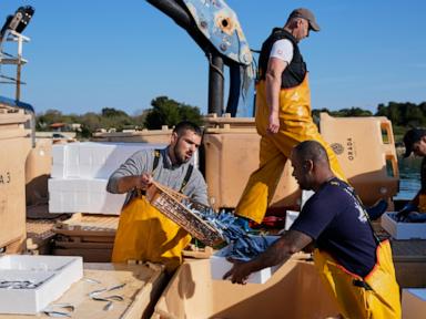 Croatian fishermen feel the strain after Iran war ramps up fuel prices