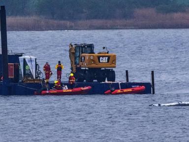 What to know about Timmy, the humpback whale that’s sick and stranded in Baltic Sea