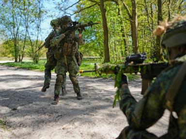 Royal recruits boost volunteers as the Netherlands builds up its military reservists