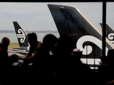 Airline adding bunk beds for economy travelers but bans snacks, smells and cuddling