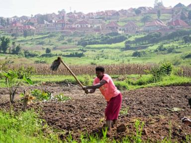 Rwanda tries to protect farmland in Africa’s most densely populated nation