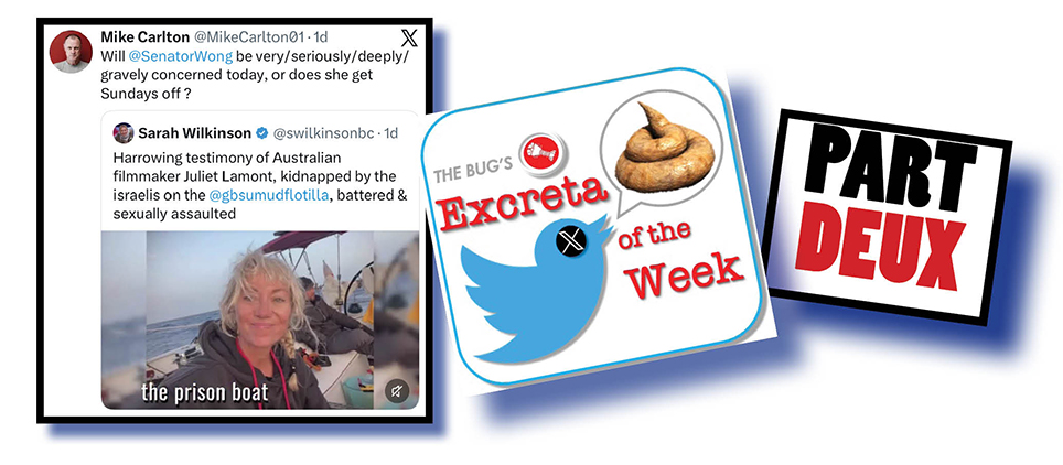 More virtual poo plopped on Penny!