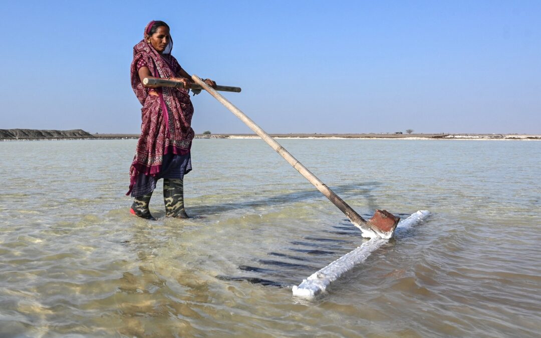 India’s salt workers brave brutal heat on Gujarat’s desert plains