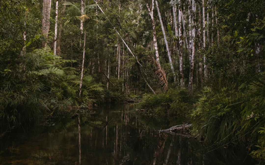 A new wave of biodiversity assessment, offset planning and natural capital is moving to the foreground