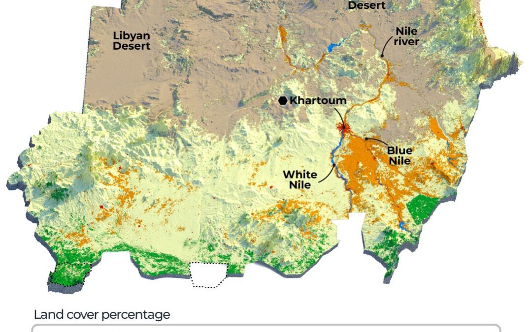 Satellite imagery reveals how Sudan’s war scorched its ‘breadbasket’