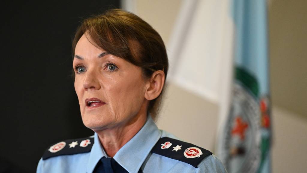 Webb to co-lead inquiry into NT child protection workers