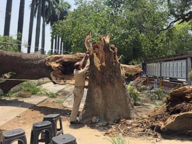 Dust storms and lightning kill at least 96 people in northern India