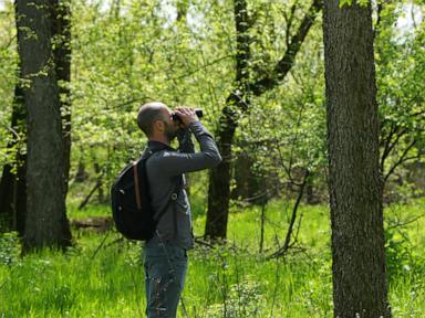 Serbian bird-watching group uses crowdfunding to buy and preserve woodland habitat