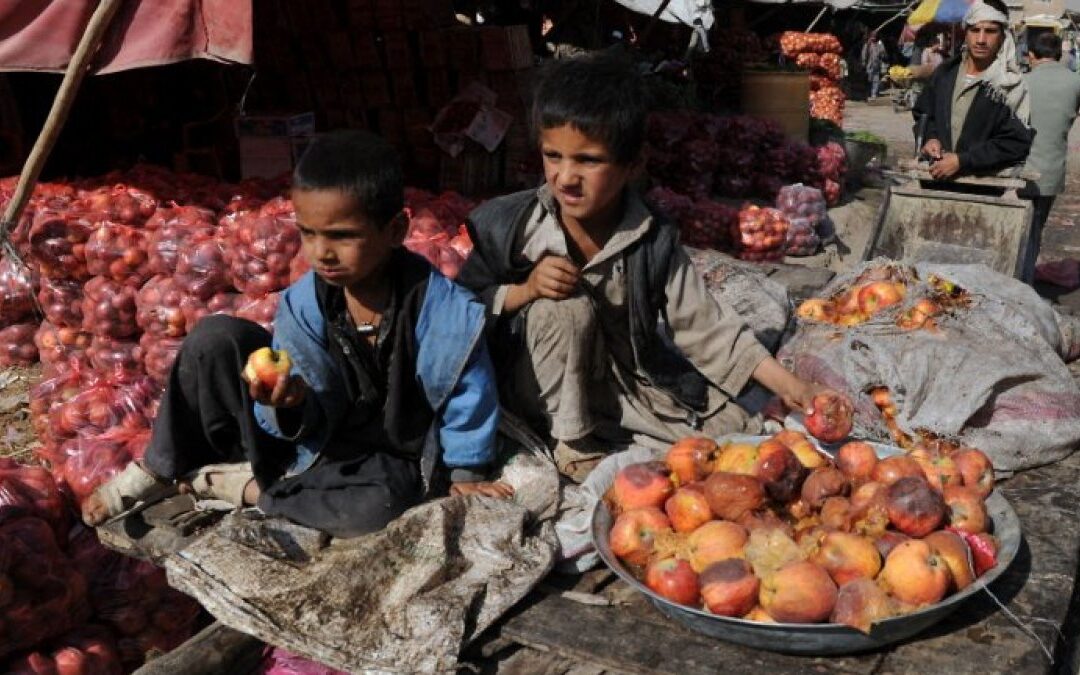 What Afghanistan’s rotten apples tell us about its non-profit sector