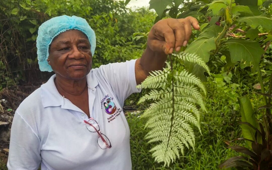 How Colombia’s traditional midwives serve as lifelines to rural communities