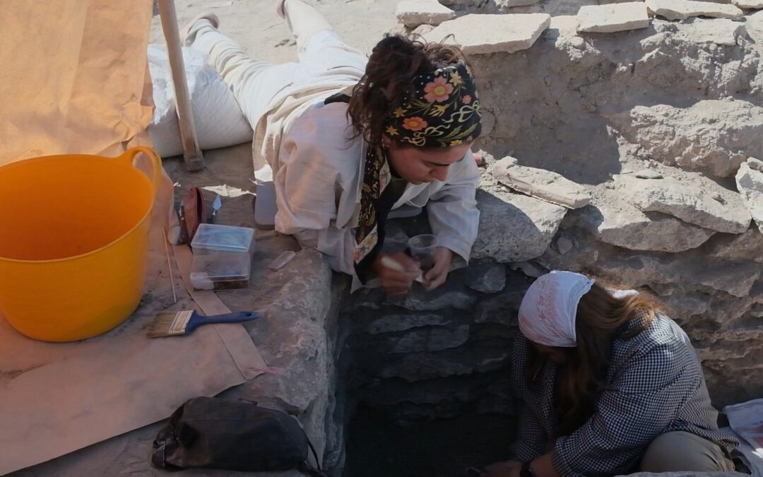 Archaeologists find ancient female-led society in Turkiye