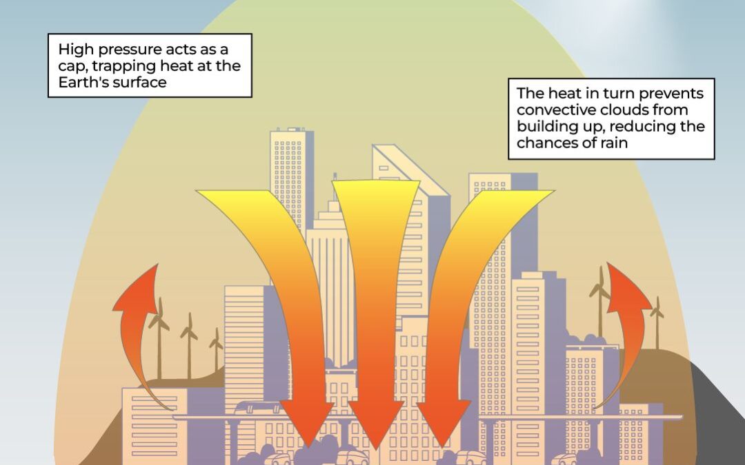 When Paris is hotter than Mecca: How Europe’s heatwave compares globally