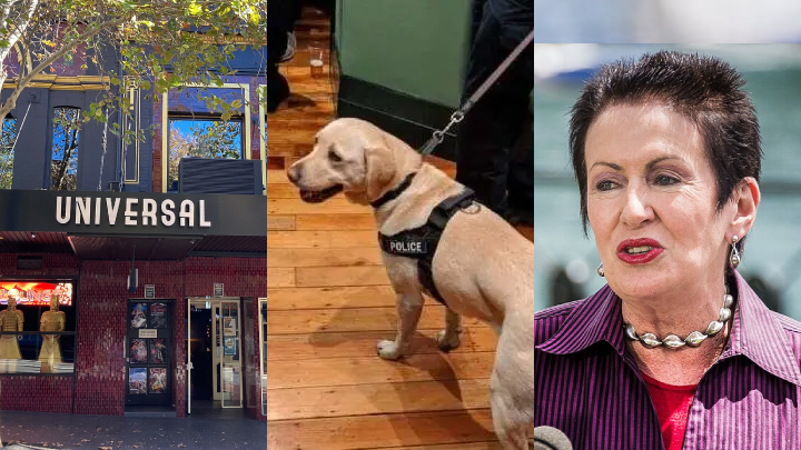NSW Police Go Ballistic with Drug Dogs on Oxford Street, Again, to Destroy Pride Month