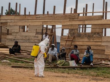 Ebola cases increase almost 40% in a week as death toll passes 200