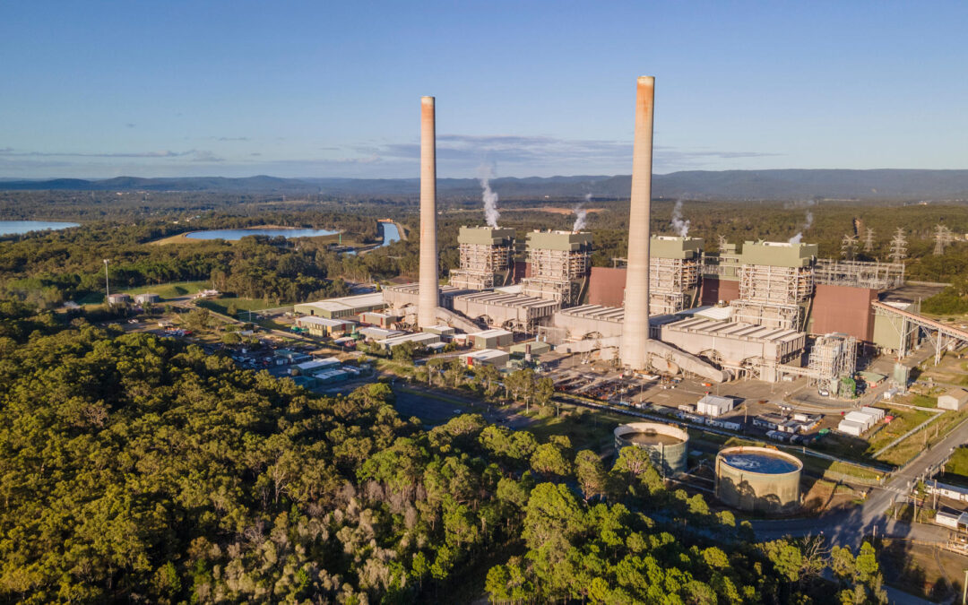 Climate Active is closing, but what does this actually mean for the industry?