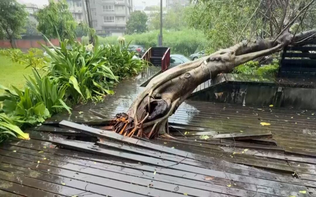 China prepares as Typhoon Bavi leaves Taiwan