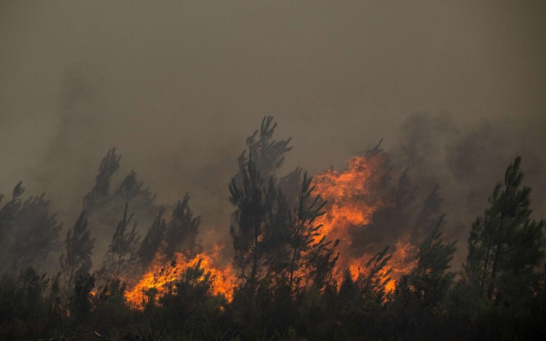 French wildfires trigger mass evacuations around Bordeaux