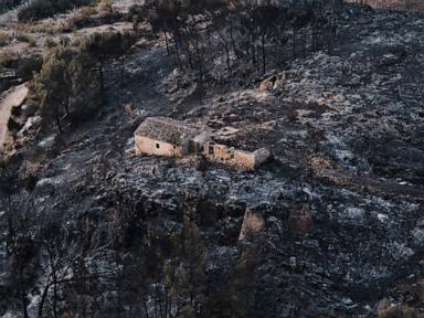 Hundreds of firefighters battle wildfire in southern Spain that killed at least 12