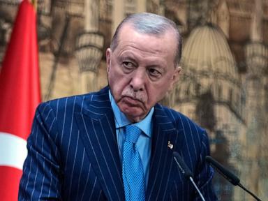 Turkish comedian sent to jail to await trial on charges of insulting Erdogan