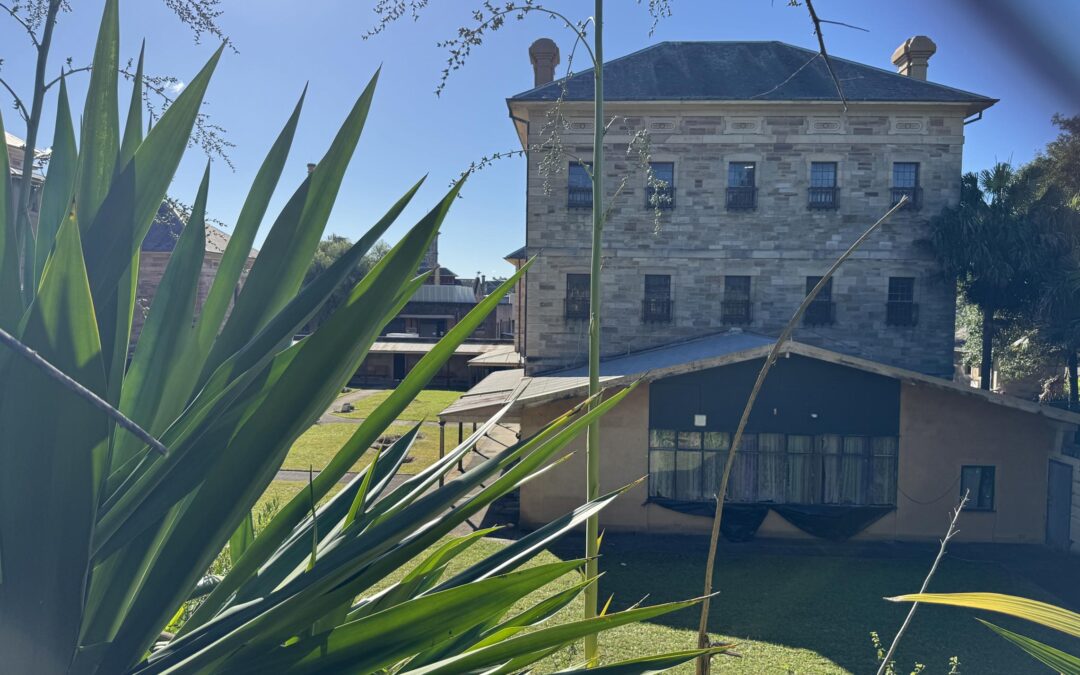 Feeling a bit ‘Aliced’ when it comes to Callan Park? Let’s get rid of the fake grass and not squander this precious asset