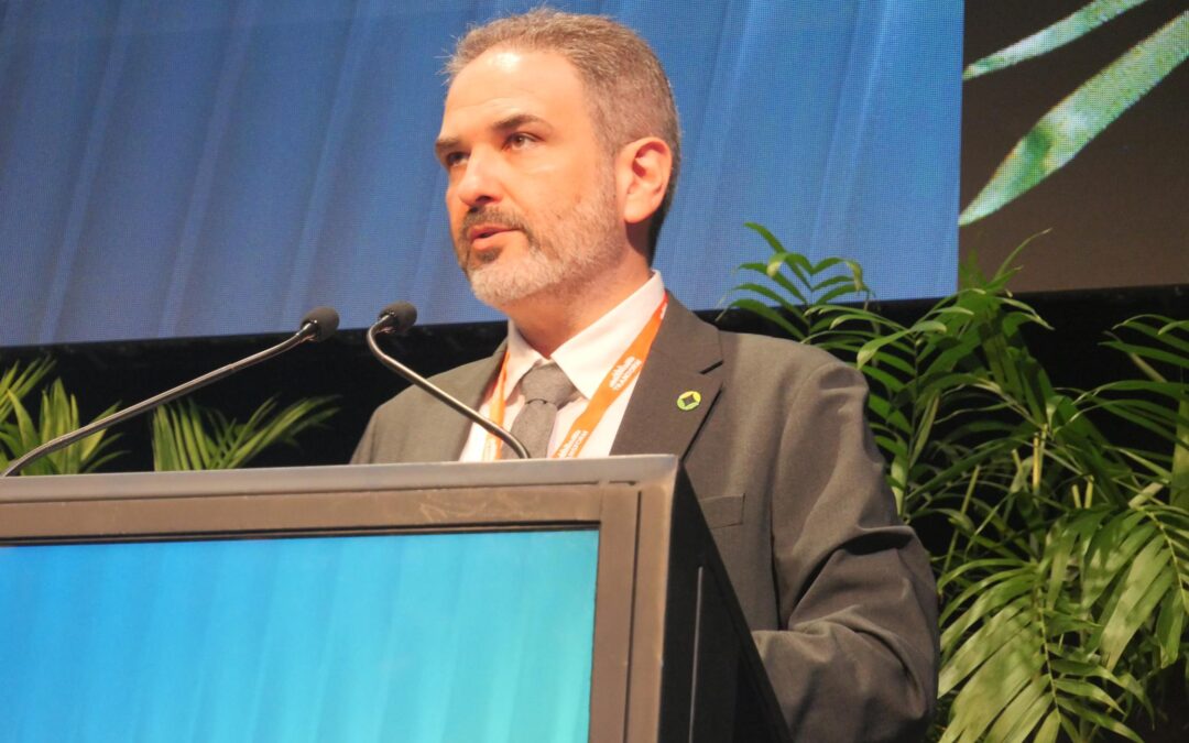 Embodied carbon policies are finally gaining traction