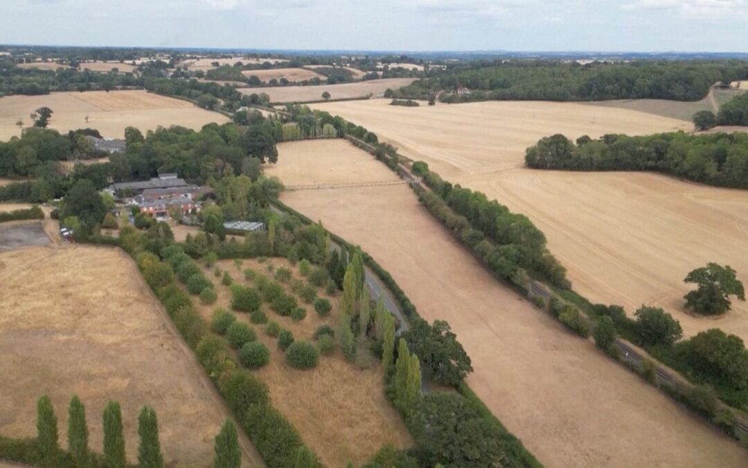 Drone video shows drought-hit fields in England after driest July on record