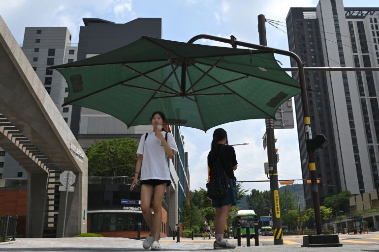 Three lionesses die in Tokyo zoo as heatwave scorches East Asia