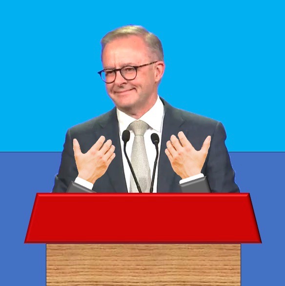 Albanese faces leadership challenge