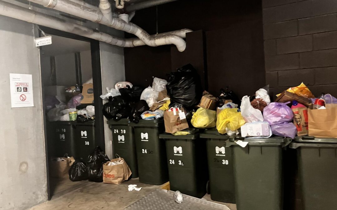 The trashy ripple effects of the sparkling transport oriented developments