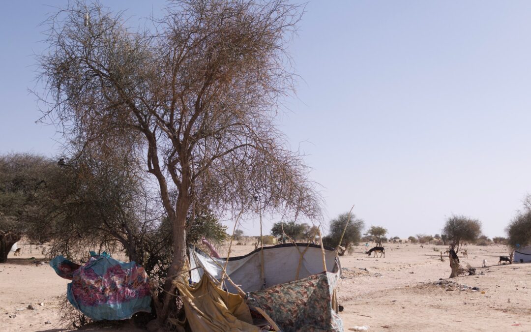 Chad accuses Sudan of deadly air strike near shared border