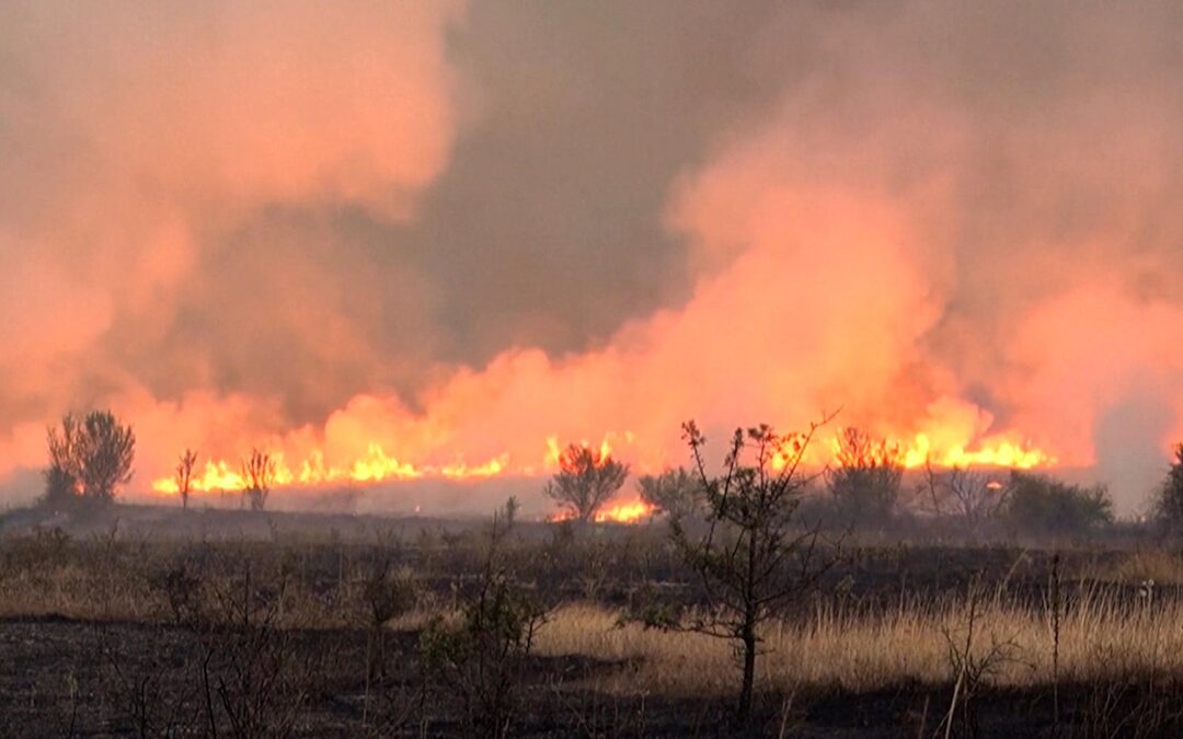 Serbia requests international assistance to battle wildfires