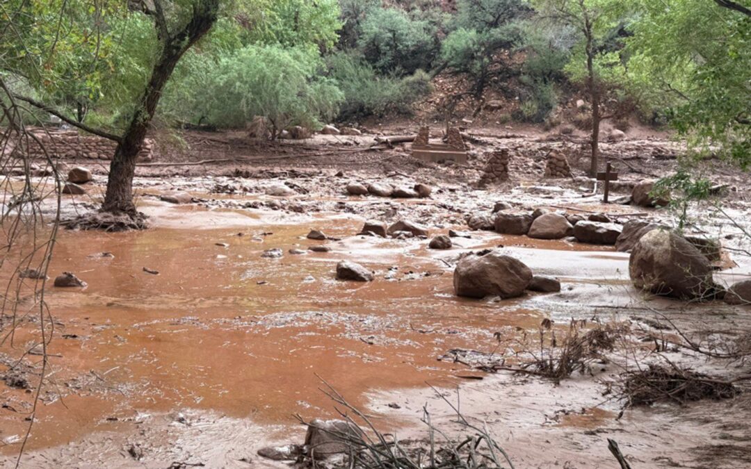 Flash flooding in Grand Canyon leaves more than 20 people missing