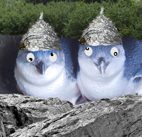 New penguin species rejects vaccine
