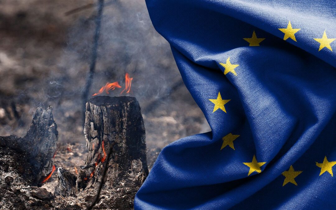 Heatwaves and energy crunch: Can Europe withstand a double shock?