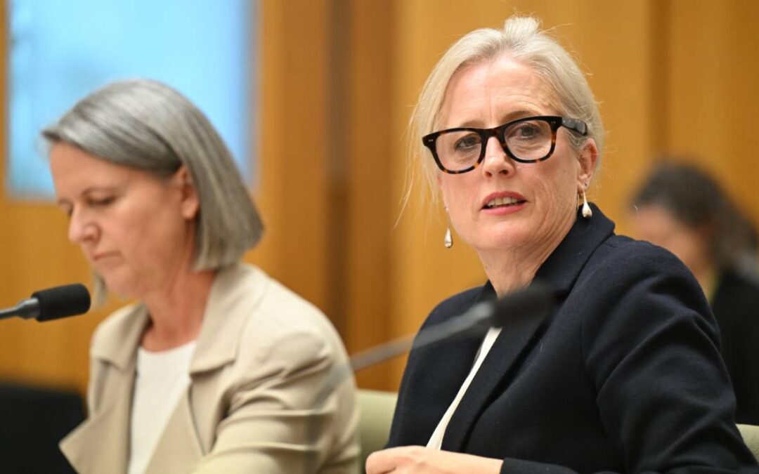 Auditor-general questions government’s insourcing numbers