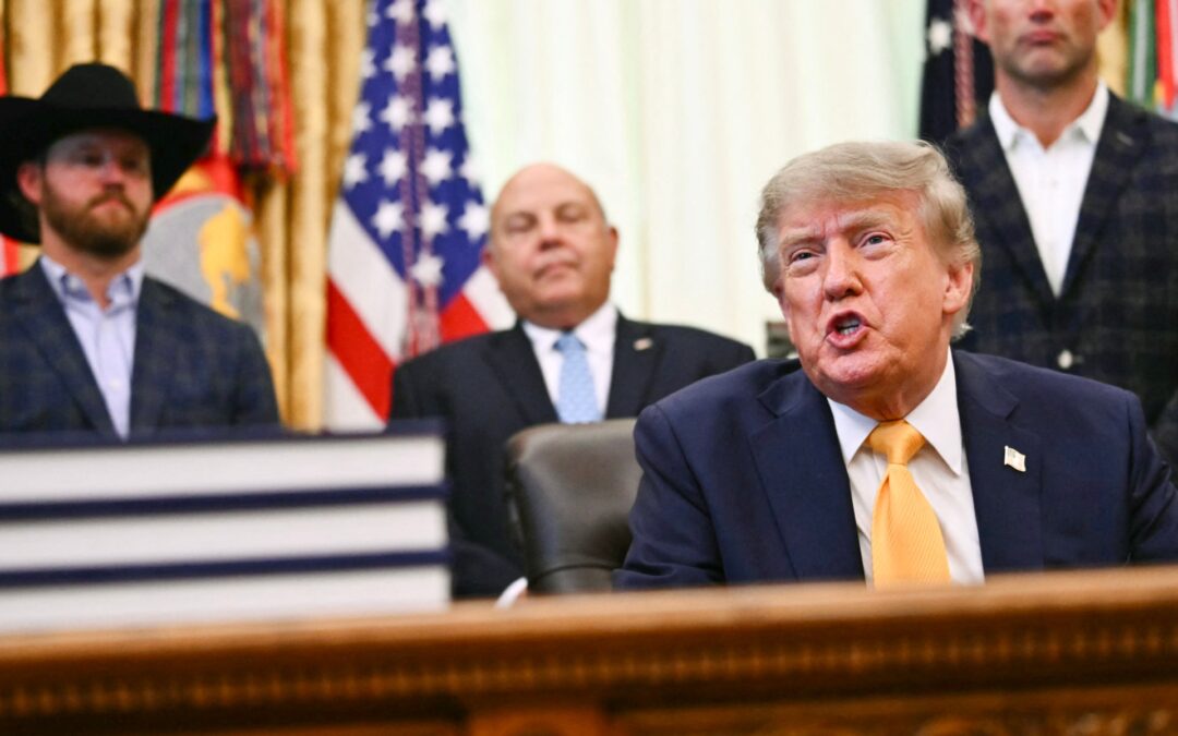 ‘Small potatoes’: US President Trump downplays war on Iran