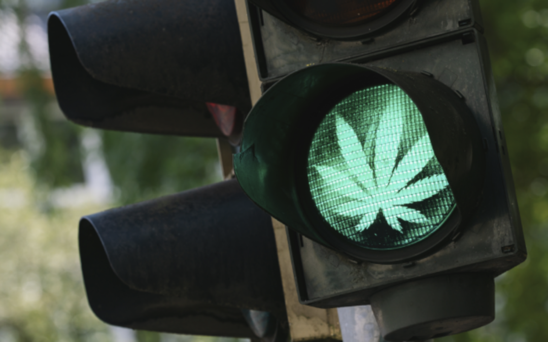 A Summary of the Medicinal Cannabis Drug Driving Defence in NSW