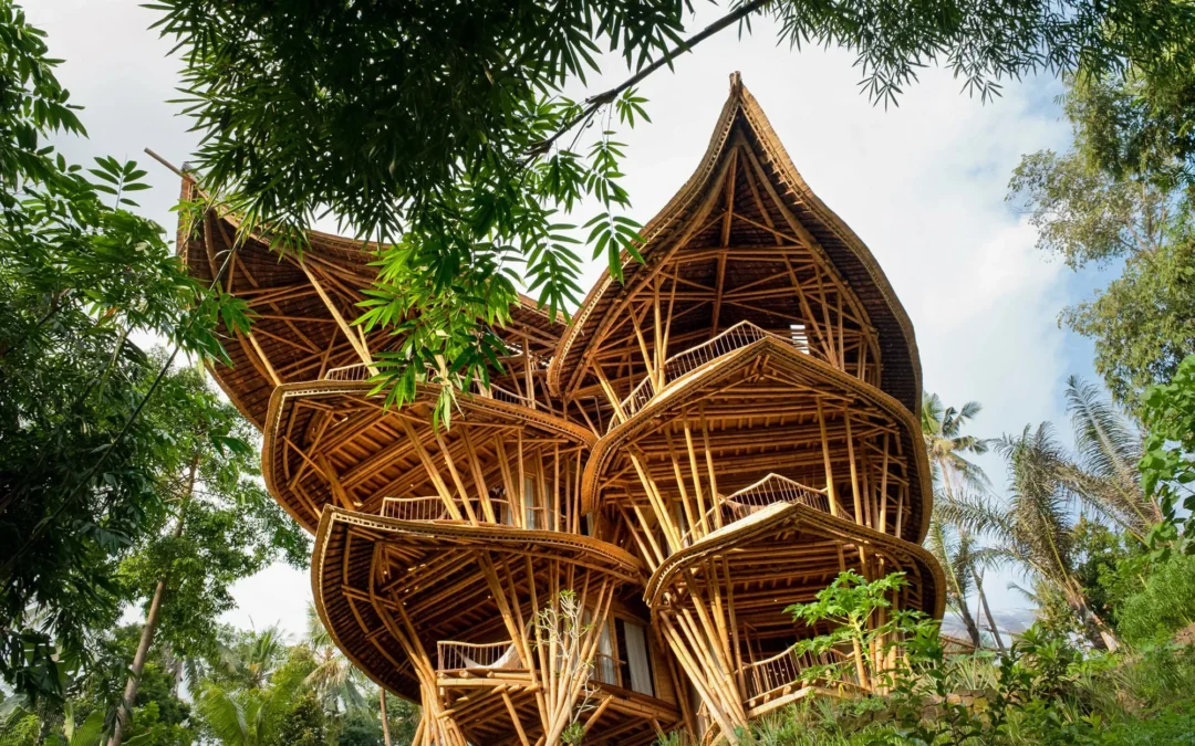 Deloitte and the $906 million bamboo opportunity