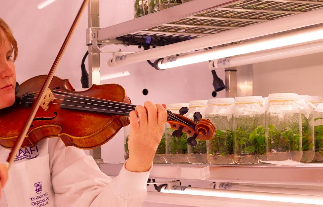 Curious Kids: does music affect how plants grow?
