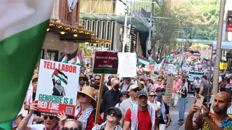 The pro-Palestine movement is winning beyond the court of public opinion