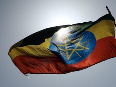 Ethiopian federal forces retake Mekelle airport from Tigrayan fighters, residents say