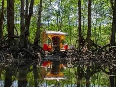 Coastal construction threaten mangrove forest that protects Vietnam’s biggest city