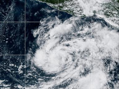 Tropical Storm Vance has formed in the Pacific Ocean